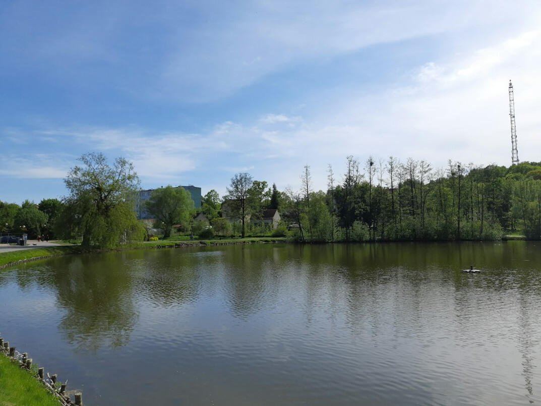 picnic in polish park